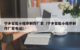 临清宁乡智能小程序制作厂家（宁乡智能小程序制作厂家电话）